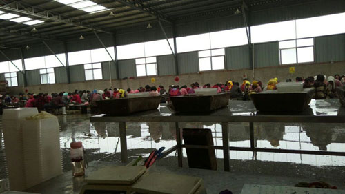 山東東營海產品批發